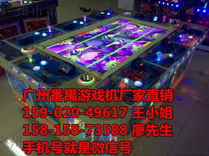 探索廣州市番禺區大龍番躍動漫產品開發部 8人及10人打魚機的專業制造商